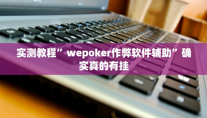实测教程”填大坑开挂辅助软件”确实真的有挂