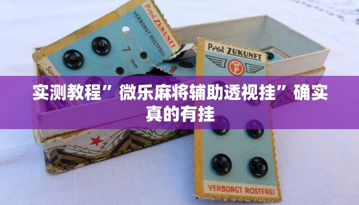 实测教程”微乐麻将辅助透视挂”确实真的有挂