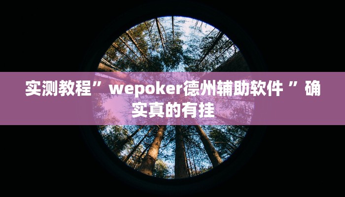 实测教程”wepoker德州辅助软件 ”确实真的有挂