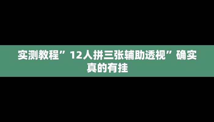 实测教程”12人拼三张辅助透视”确实真的有挂