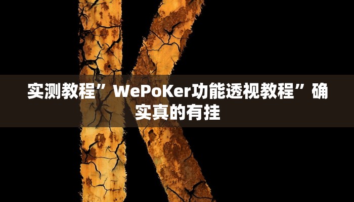 实测教程”WePoKer功能透视教程”确实真的有挂