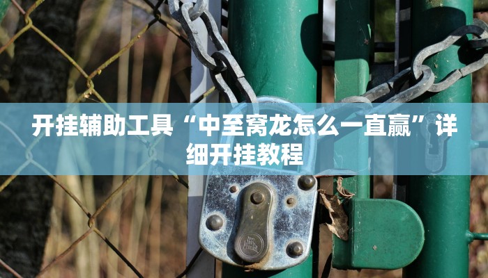 开挂辅助工具“中至窝龙怎么一直赢”详细开挂教程