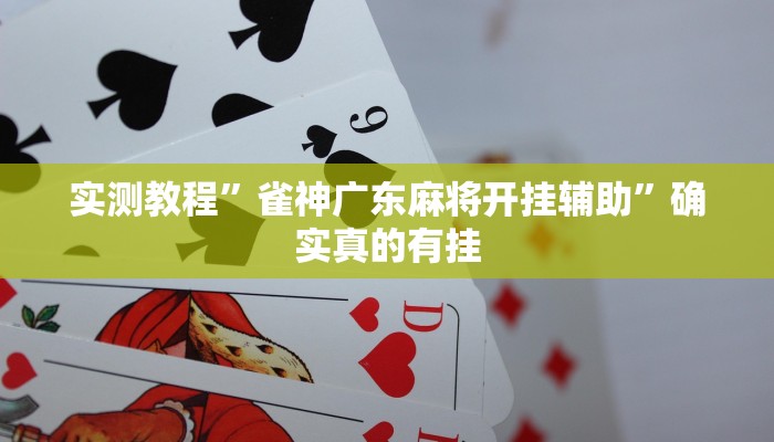 实测教程”雀神广东麻将开挂辅助”确实真的有挂