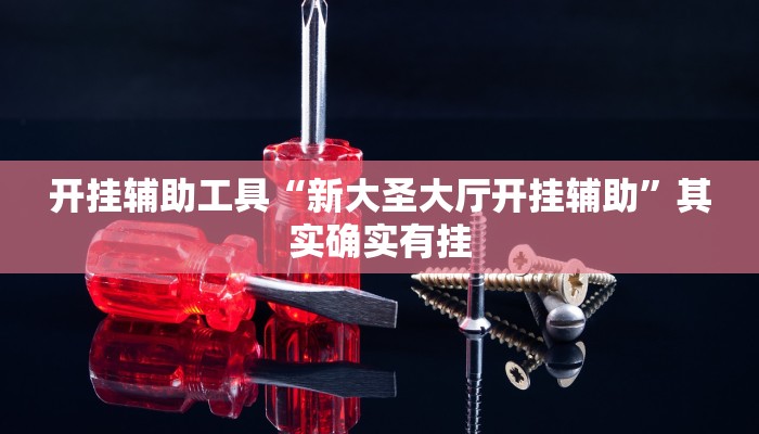 开挂辅助工具“新大圣大厅开挂辅助”其实确实有挂