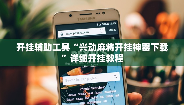 开挂辅助工具“兴动麻将开挂神器下载”详细开挂教程