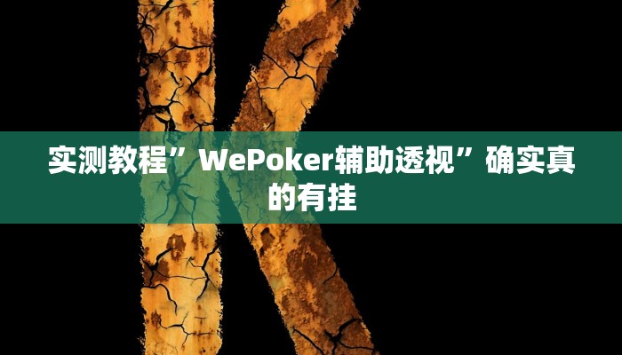 实测教程”WePoker辅助透视”确实真的有挂