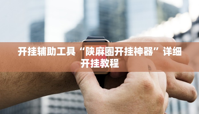 开挂辅助工具“陕麻圈开挂神器”详细开挂教程