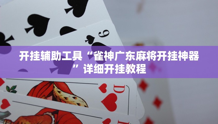 开挂辅助工具“皇豪大厅开挂神器下载”详细开挂教程