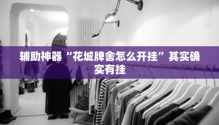 辅助神器“花城牌舍怎么开挂”其实确实有挂