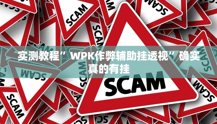 实测教程”WPK作弊辅助挂透视”确实真的有挂