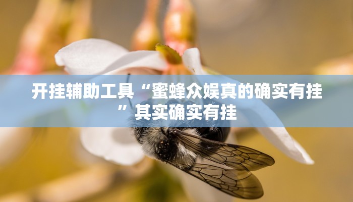 开挂辅助工具“蜜蜂众娱真的确实有挂”其实确实有挂