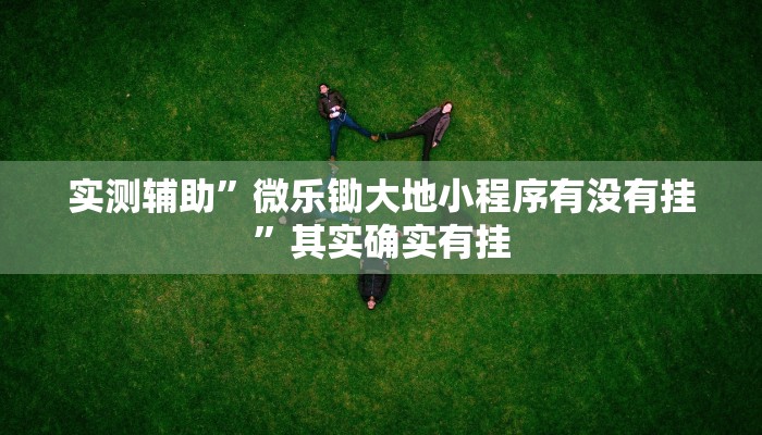 实测辅助”微乐锄大地小程序有没有挂”其实确实有挂