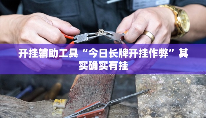 开挂辅助工具“今日长牌开挂作弊”其实确实有挂