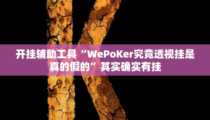 开挂辅助工具“WePoKer究竟透视挂是真的假的”其实确实有挂