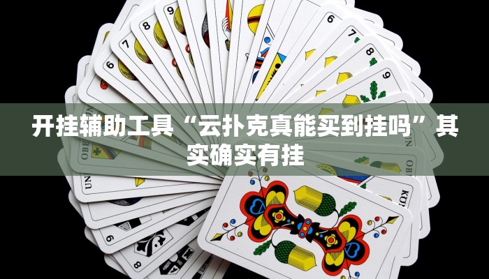 实测教程”吉祥填大坑辅助器通用版”确实真的有挂