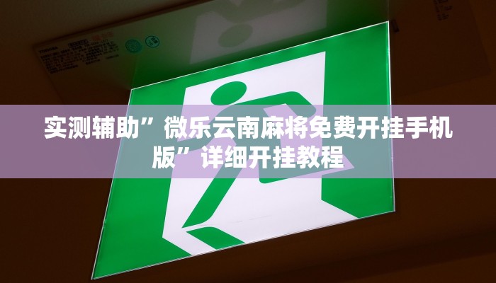 实测辅助”微乐云南麻将免费开挂手机版”详细开挂教程