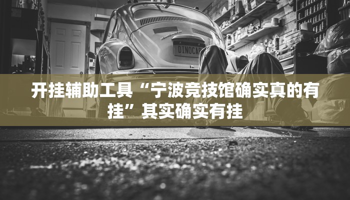 开挂辅助工具“宁波竞技馆确实真的有挂”其实确实有挂