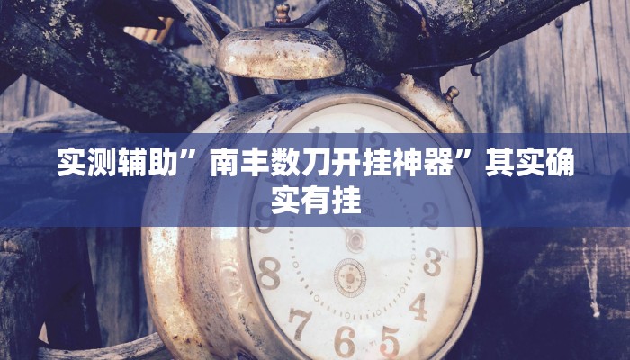 实测辅助”南丰数刀开挂神器”其实确实有挂