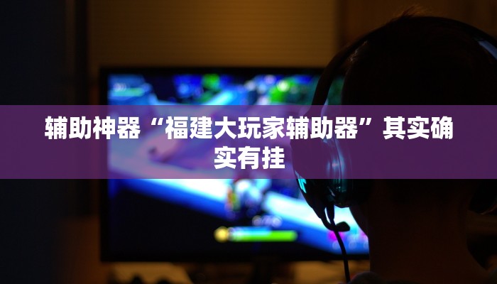 辅助神器“福建大玩家辅助器”其实确实有挂