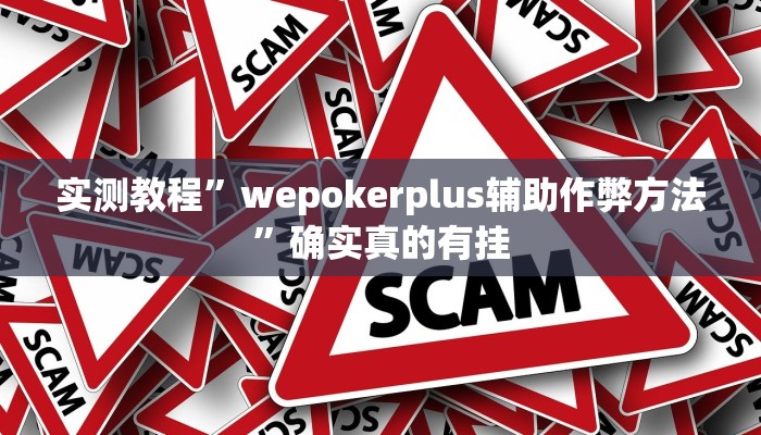 实测教程”wepokerplus辅助作弊方法”确实真的有挂