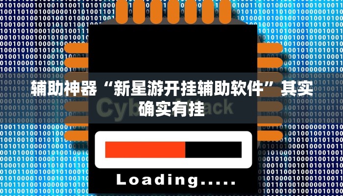 辅助神器“新星游开挂辅助软件”其实确实有挂
