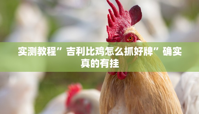 实测教程”吉利比鸡怎么抓好牌”确实真的有挂