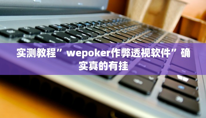 实测教程”wepoker作弊透视软件”确实真的有挂