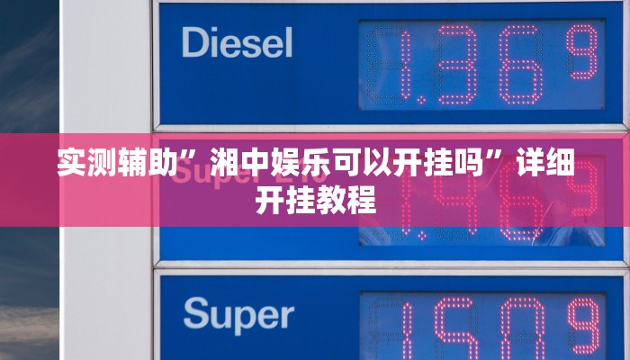 实测辅助”湘中娱乐可以开挂吗”详细开挂教程