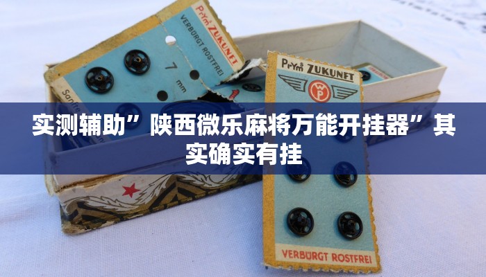 实测辅助”陕西微乐麻将万能开挂器”其实确实有挂