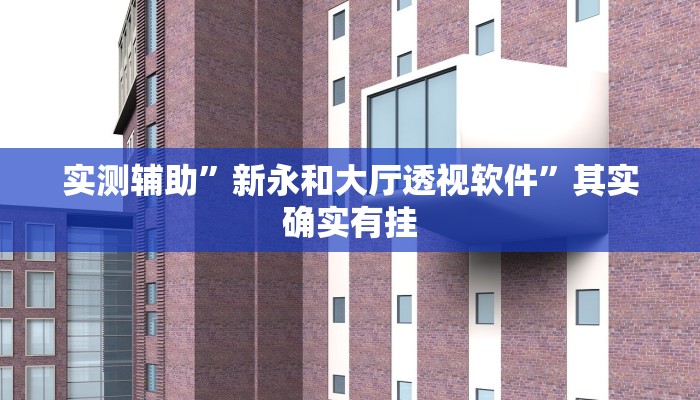 实测辅助”新永和大厅透视软件”其实确实有挂