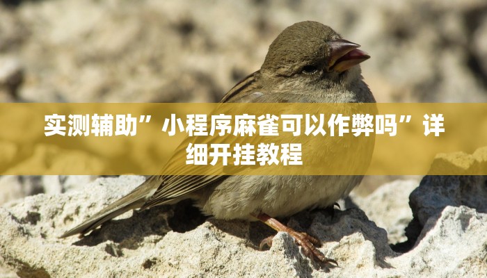 实测教程”睢宁麻将通用挂”确实真的有挂