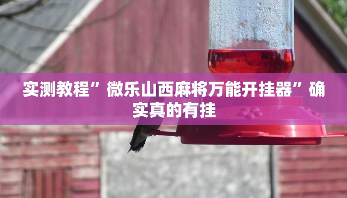 实测教程”微乐山西麻将万能开挂器”确实真的有挂