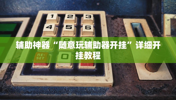 辅助神器“随意玩辅助器开挂”详细开挂教程