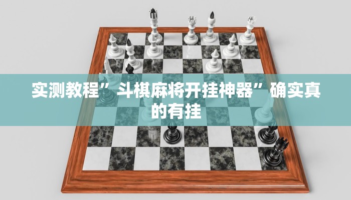 实测教程”斗棋麻将开挂神器”确实真的有挂