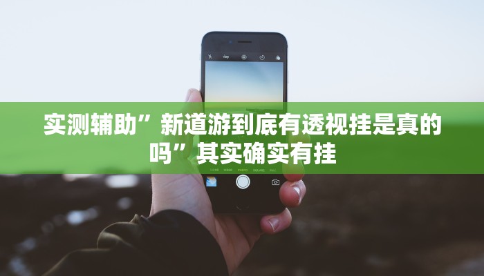 实测辅助”新道游到底有透视挂是真的吗”其实确实有挂