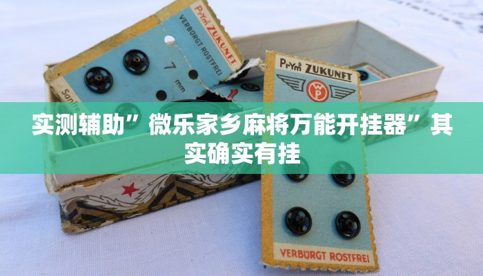 实测辅助”微乐家乡麻将万能开挂器”其实确实有挂