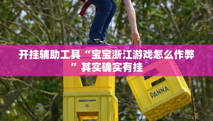 开挂辅助工具“宝宝浙江游戏怎么作弊”其实确实有挂