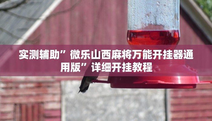 实测辅助”微乐山西麻将万能开挂器通用版”详细开挂教程