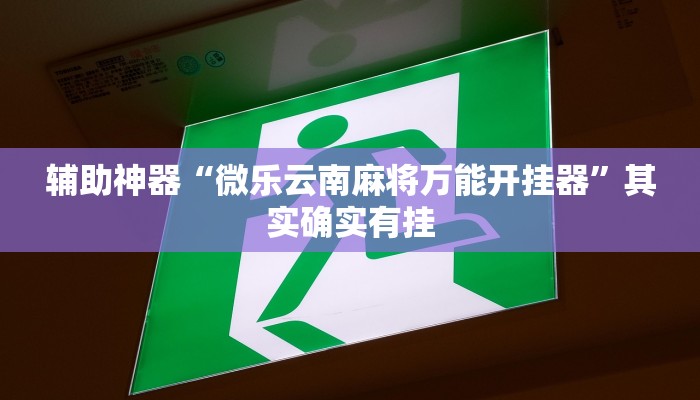 辅助神器“微乐云南麻将万能开挂器”其实确实有挂