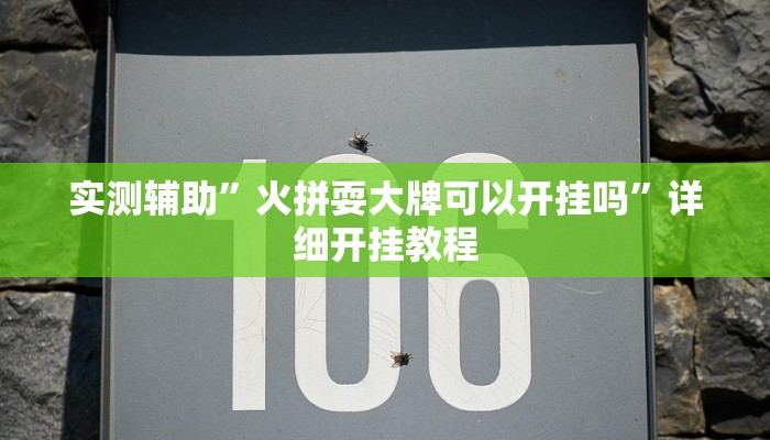 实测辅助”火拼耍大牌可以开挂吗”详细开挂教程