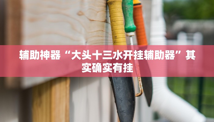 辅助神器“大头十三水开挂辅助器”其实确实有挂