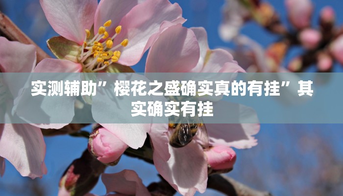 实测教程”hhpoker通用挂”确实真的有挂