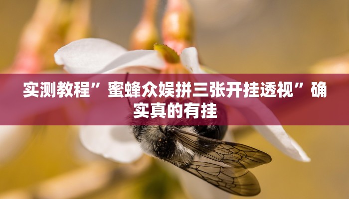 实测教程”决胜麻将胡牌神器”确实真的有挂