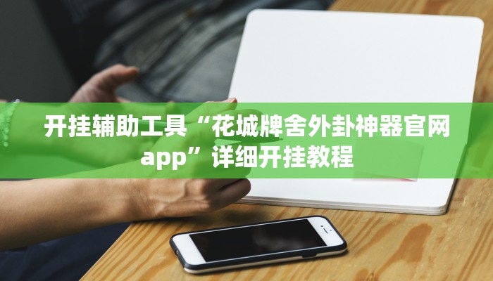 实测辅助”对战互娱透视”详细开挂教程
