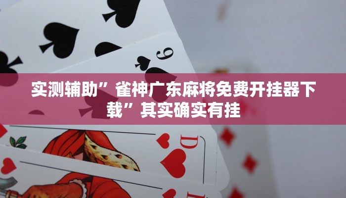 实测辅助”雀神广东麻将免费开挂器下载”其实确实有挂