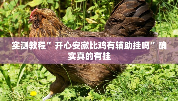 实测教程”开心安徽比鸡有辅助挂吗”确实真的有挂
