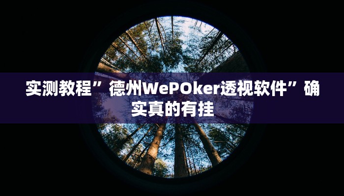 实测教程”德州WePOker透视软件”确实真的有挂