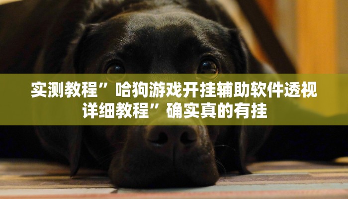 实测教程”哈狗游戏开挂辅助软件透视详细教程”确实真的有挂