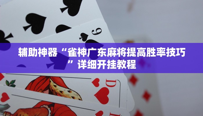 辅助神器“雀神广东麻将提高胜率技巧”详细开挂教程