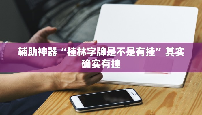 辅助神器“桂林字牌是不是有挂”其实确实有挂